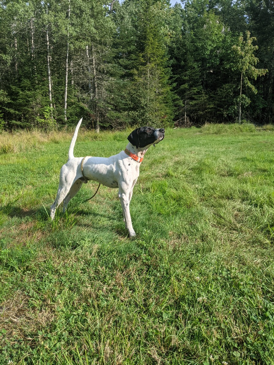 WOODCOCK HAVEN MASON